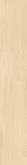 PLANK mid 20x120 rekt.