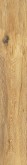 PINO nut 20x120 rekt.