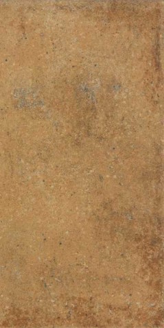 Dlažba RAKO Siena DARPT664 22,1x44,5x0,8 cm